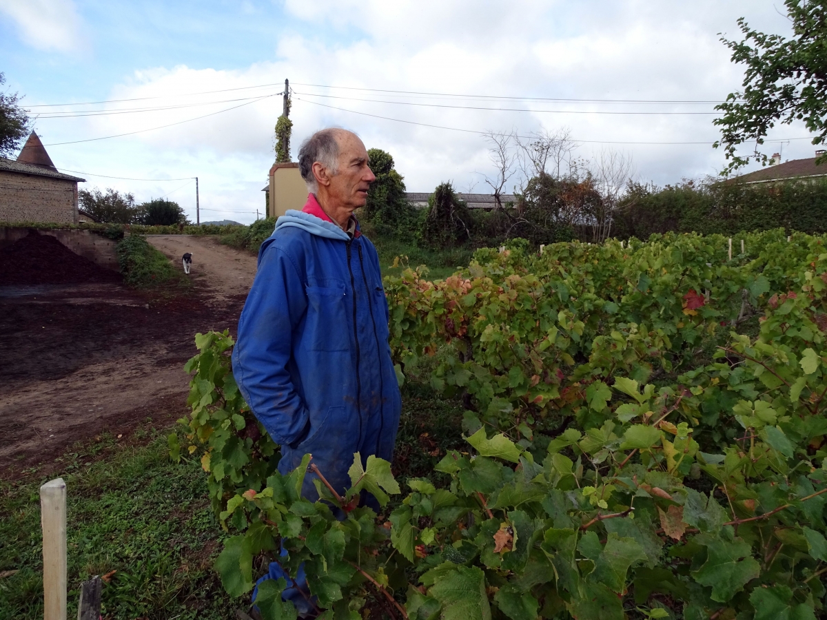 Sur ses vignes, Christian Ducroux a reconstruit un écosystème inspiré de l’agroforesterie (crédit : Emmanuelle Berne)