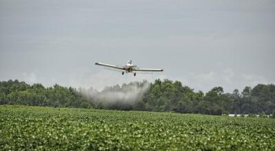 Epandages de pesticides au dessus d'un champ de soja