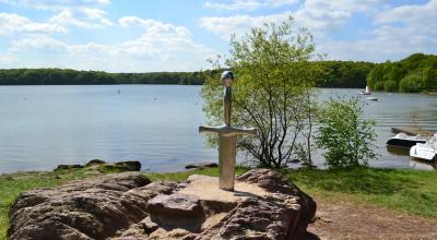 L'épée du Roi Arthur en forêt de Brocéliande (35) - "Avalonys" est un projet de parc dédié aux légende arthurienne - Crédits : Pixabay