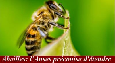 Le Syndicat Apiculteurs Midi-Pyrénées offre une ruche à Mme Batho, M. Chanteguet et M. Bapt !