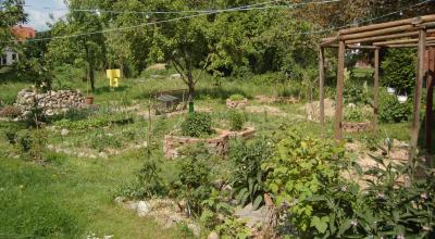 Un espace de permaculture © Quentin Caffier