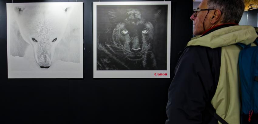 Exposition de Kyriakos Kaziras © Quentin Zinzius