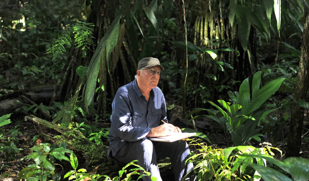 © Tristan Jeanne-Valès