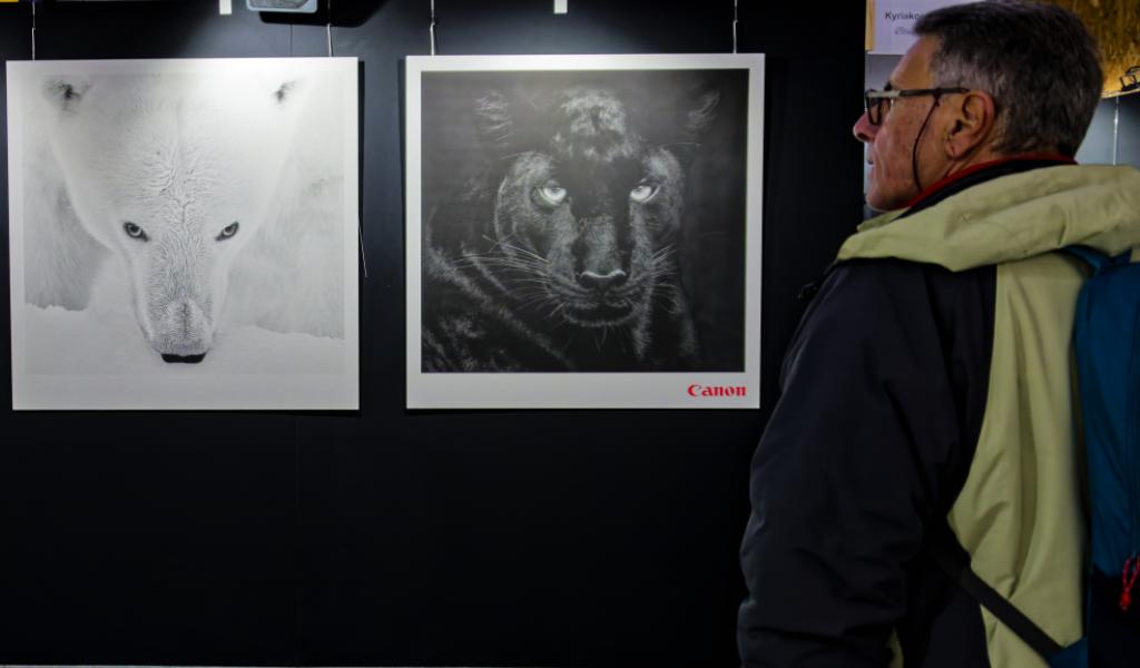 Exposition de Kyriakos Kaziras © Quentin Zinzius