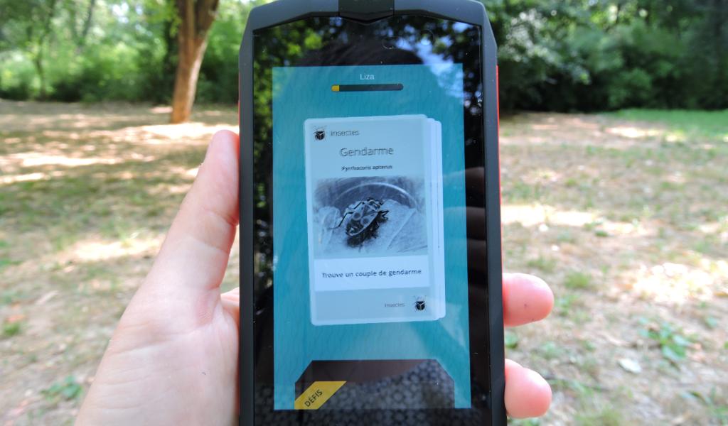 L'appli Biodiv Go sera disponible sur Androïd à partir du vendredi 23 juin 2017. Crédits : Justine Carnec