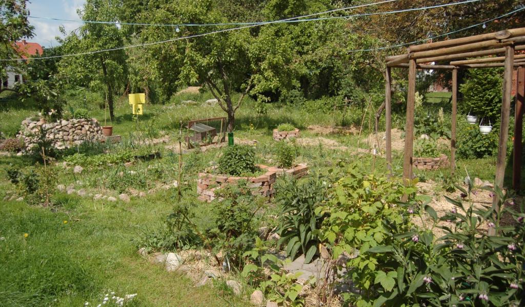 Un espace de permaculture © Quentin Caffier