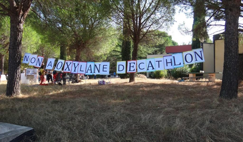Le collectif Oxygène s'oppose depuis trois ans au projet de centre commercial Oxylane, à Saint-Clément-de-Rivière. - DR