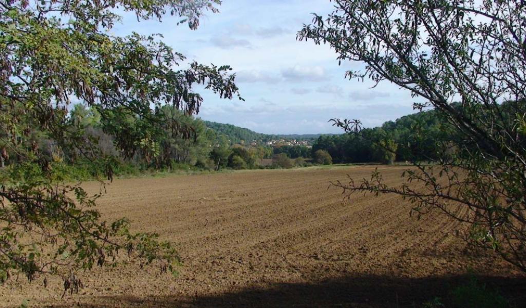 Les terres agricoles concernées par le projet de centre commercial "Oxylane", à Saint-Clément-de-Rivière (34)