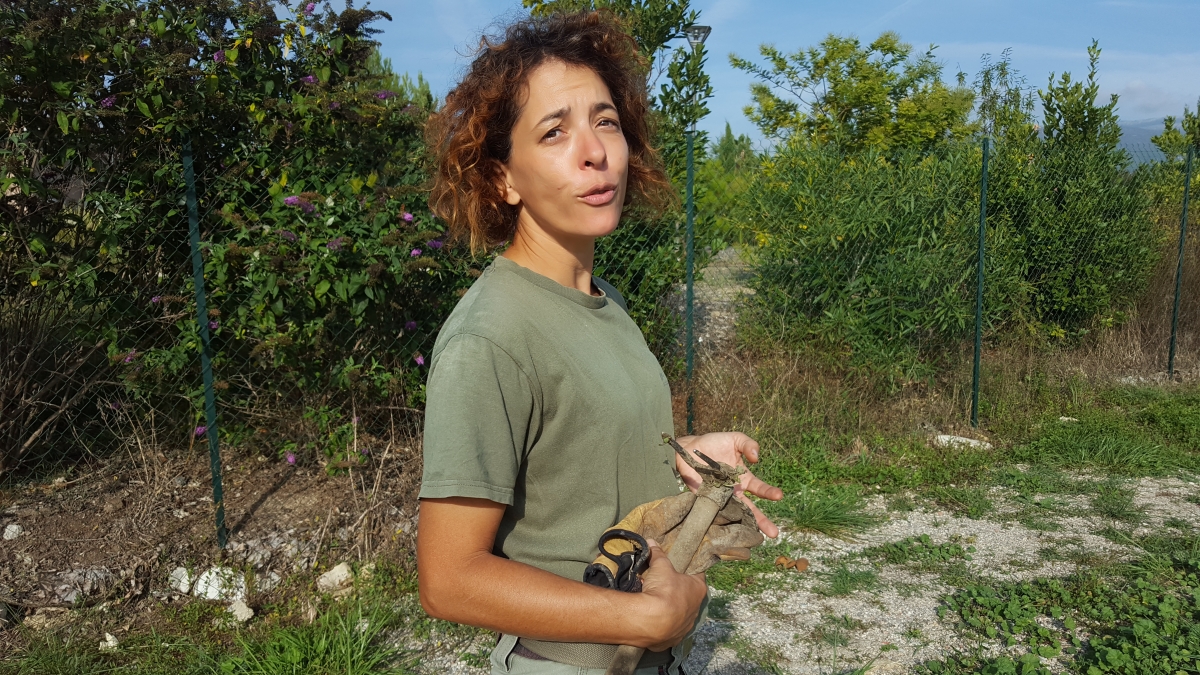 Christele Zannelli crédit Sandrine Lana