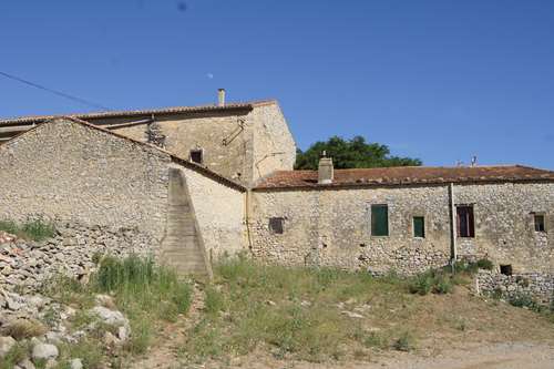 vigne de cocagne