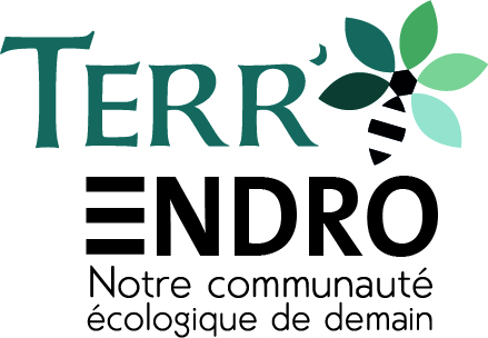 logo terrendro