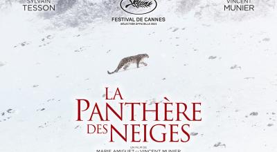 La panthère des Neiges