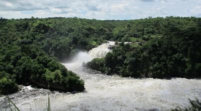 Les chutes de Murchison Falls sur le Nil Victoria