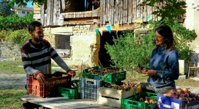 Dans la ferme collective La clef des sables, Lucas et Paloma partagent leur temps de travail avec Nicolas, leur associé, qui possède des tracteurs. En mutualisant leur force de production, cinq paysans espèrent ainsi s’installer durablement en agriculture et améliorer leurs conditions de travail. © Estelle Pereira