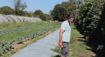 Thierry Gozzerino, maraîcher membre du réseau d’amap Les Paniers Marseillais, a changé de modèle économique. En passant de la culture unique de salades à celle de 50 légumes bio, il a pu recruter cinq personnes à temps plein sur sa ferme, à Salon-de-Provence.  