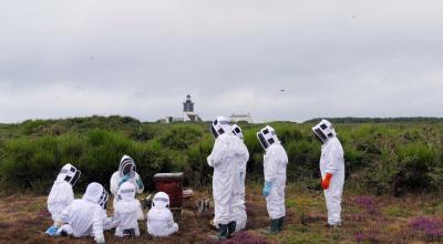 Visite pédagogique des ruches d'abeilles noires. Crédit photo: ASAN.GX