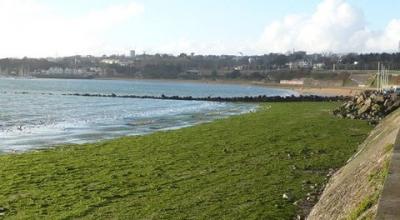 La plage du Moulin Blanc, à Brest, en été 2015 - Eau et rivières de Breagne