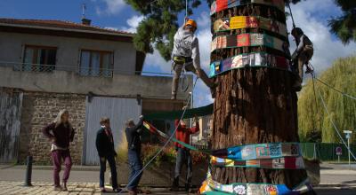 L'installation d’une banderole textile de 60 m sur le grand séquoia de Pélussin. © Catherine Robert