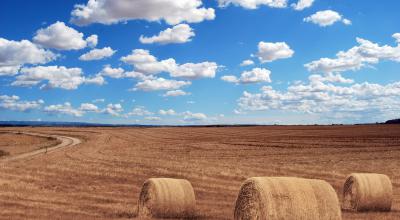 Accaparemment des terres agricoles (crédit : Pixabay)