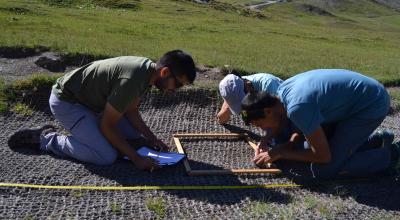 Un suivi post-revégétalisation a été réalisé au col Agnel dans le cadre de Sem’Les Alpes, afin de mesurer le taux de recouvrement de la végétation. © S. Huc