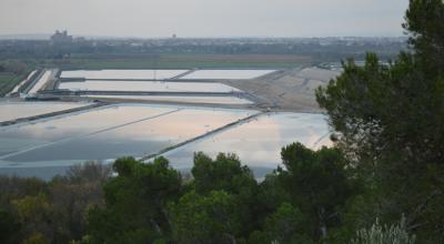 Les bassins de l’usine de traitement de l’uranium de Malvési avec, en arrière-plan, le centre-ville de Narbonne. © François Delotte