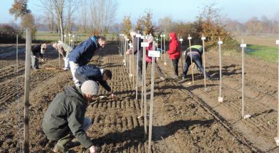 Fin novembre, 19 jardiniers se sont réunis dans le Tarn pour semer 54 variétés de la collection de Pétanielle. © Pétanielle