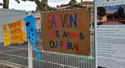 Sauvons les platanes