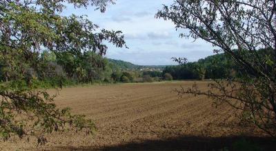 Les terres agricoles concernées par le projet de centre commercial "Oxylane", à Saint-Clément-de-Rivière (34)