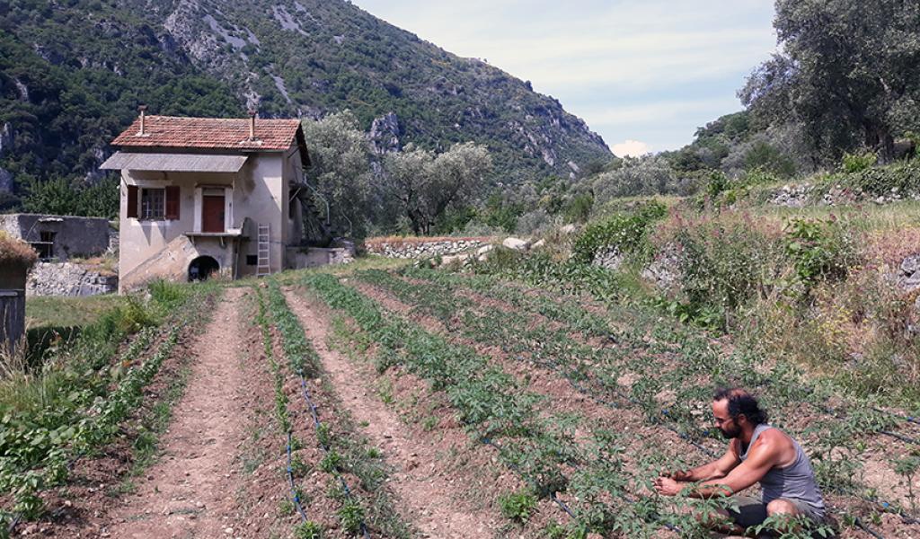 Emmaüs Roya, c'est près de 5000 m2 exploités par 6 compagnons, dont Cédric Herrou. Photo : Emmaüs Roya