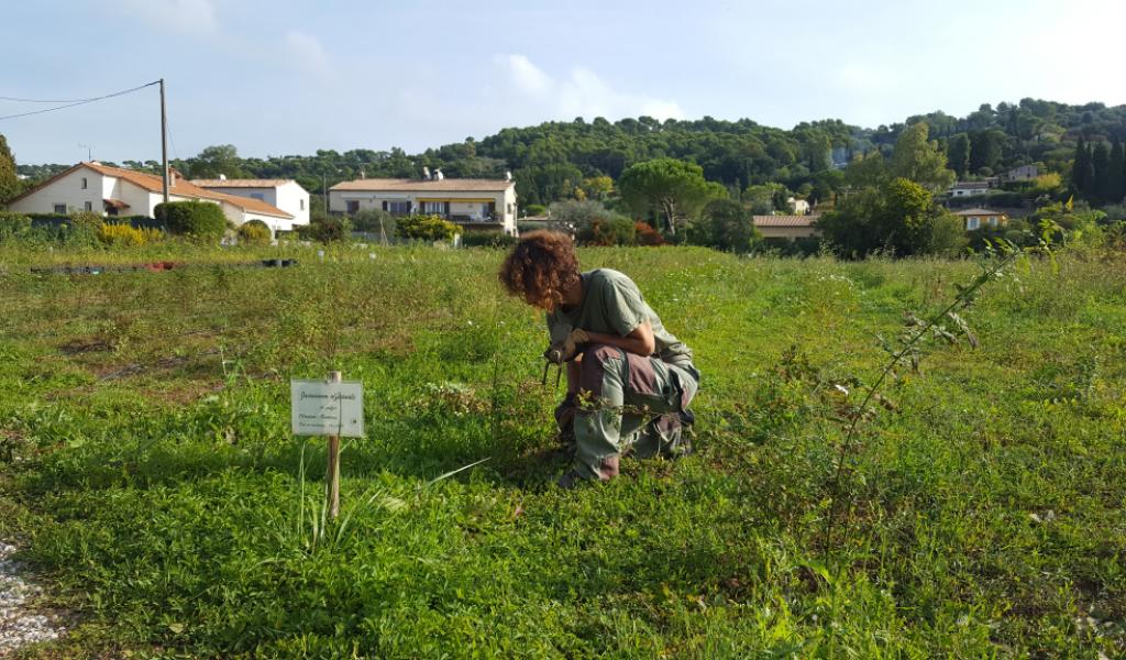 Crédit Sandrine Lana