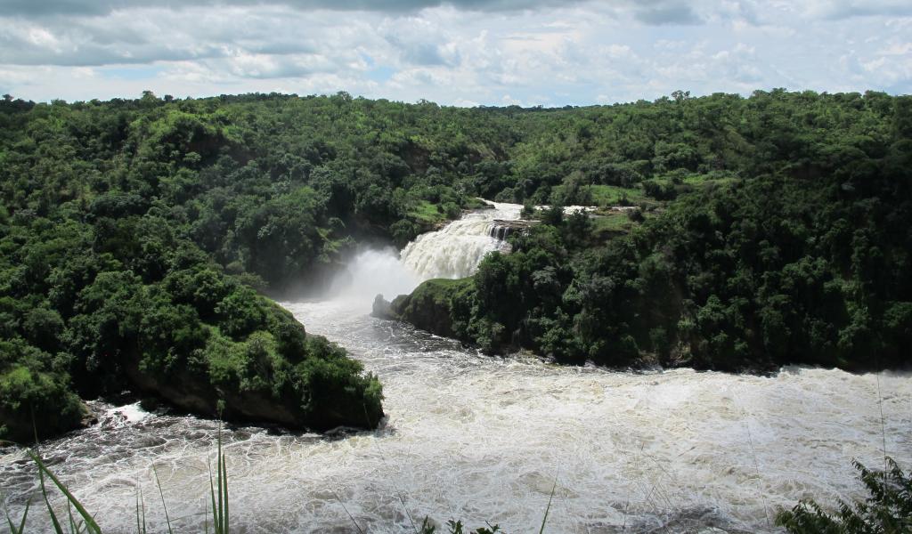 Les chutes de Murchison Falls sur le Nil Victoria