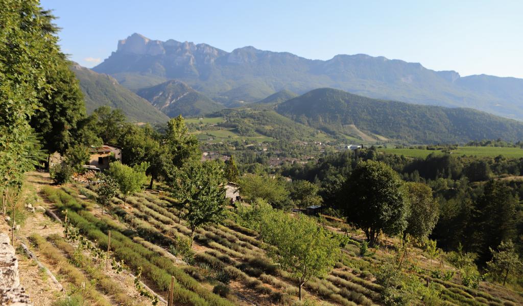 Vue depuis la ferme de Mul’âne. Une agriculture sans pétrole, c’est une agriculture qui s’intègre dans les paysages. © Estelle Pereira