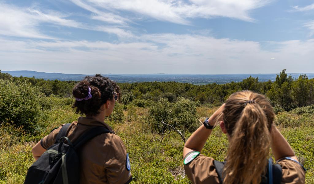 La garde régionale forestière lutte contre les incendies