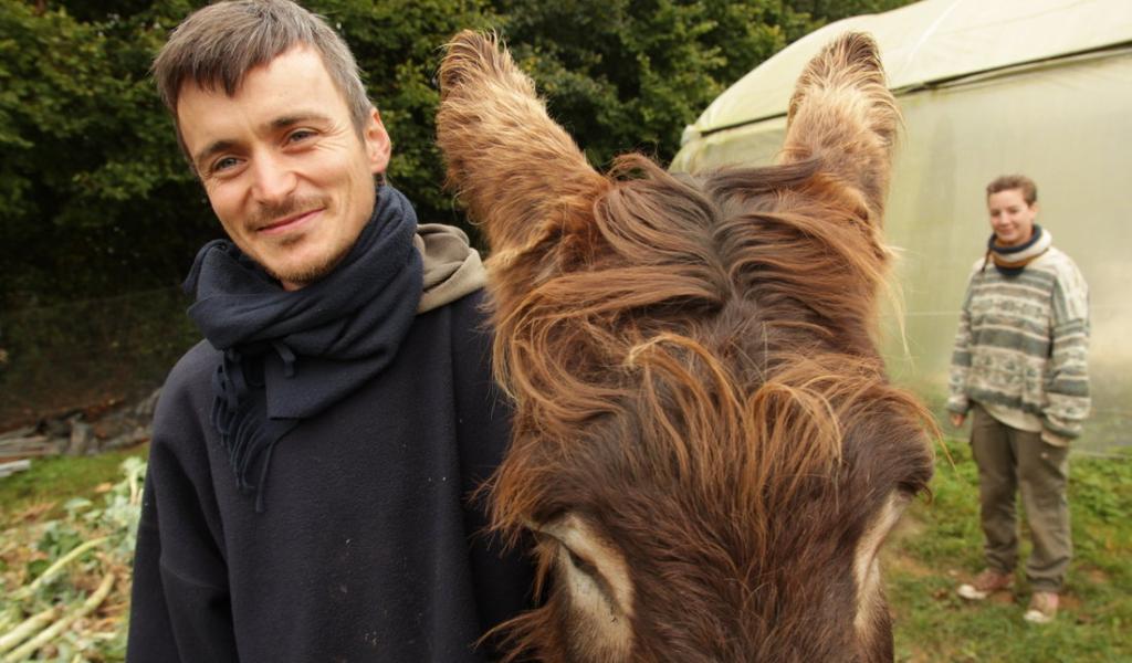 Martial et Chouchou, l'âne de la ferme ! © Ferme de l'âne arrosé