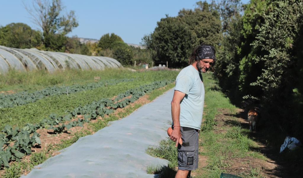 Thierry Gozzerino, maraîcher membre du réseau d’amap Les Paniers Marseillais, a changé de modèle économique. En passant de la culture unique de salades à celle de 50 légumes bio, il a pu recruter cinq personnes à temps plein sur sa ferme, à Salon-de-Provence.  