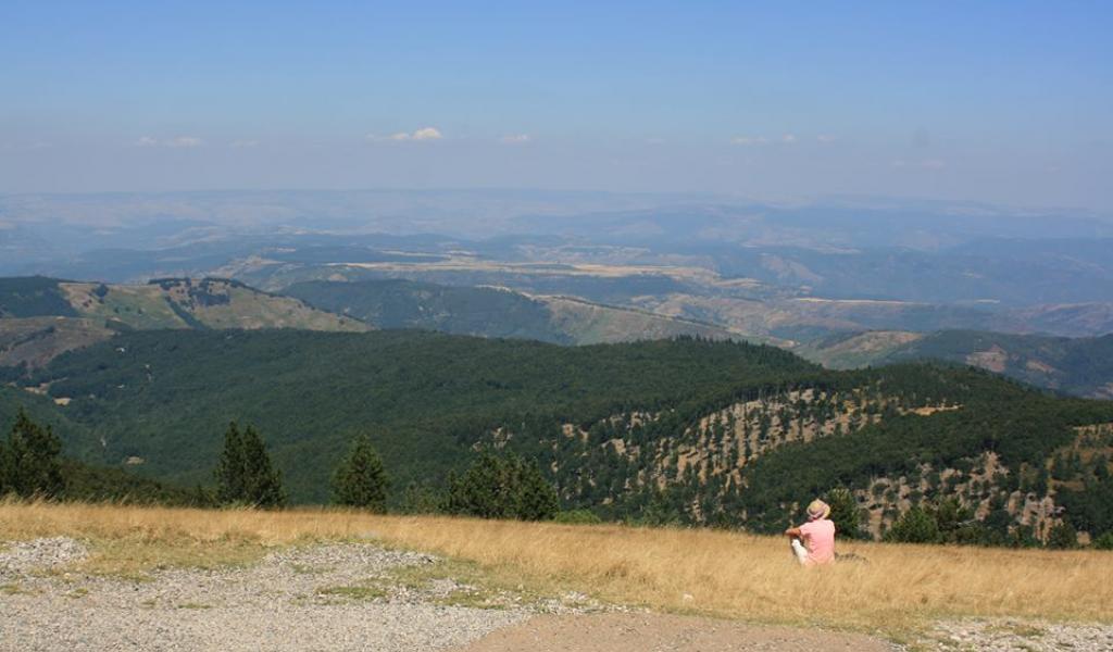 Vu depuis le sommet du Mont-Aigoual (30-48) - FD / LMDP