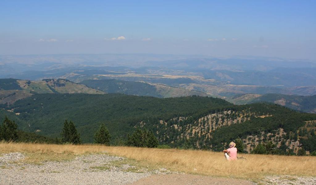 Vu depuis le sommet du Mont-Aigoual (30-48) - FD / LMDP