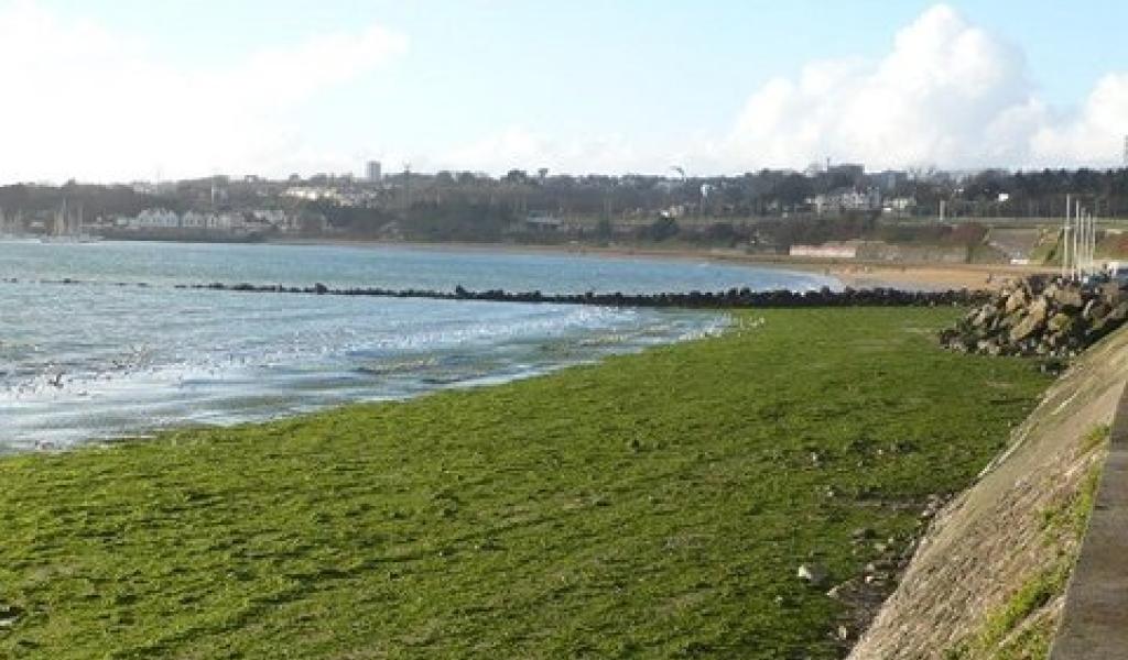 La plage du Moulin Blanc, à Brest, en été 2015 - Eau et rivières de Breagne