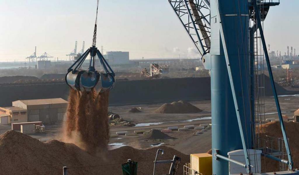 Bois déchiqueté, débarqué au port de Fos-sur-Mer (13), probablement destiné à alimenter la centrale de Gardanne - DR