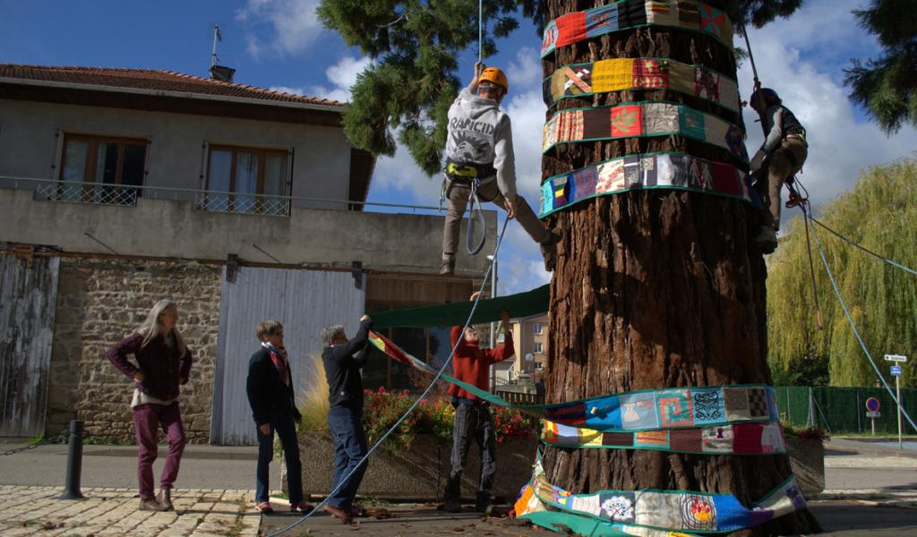 L'installation d’une banderole textile de 60 m sur le grand séquoia de Pélussin. © Catherine Robert