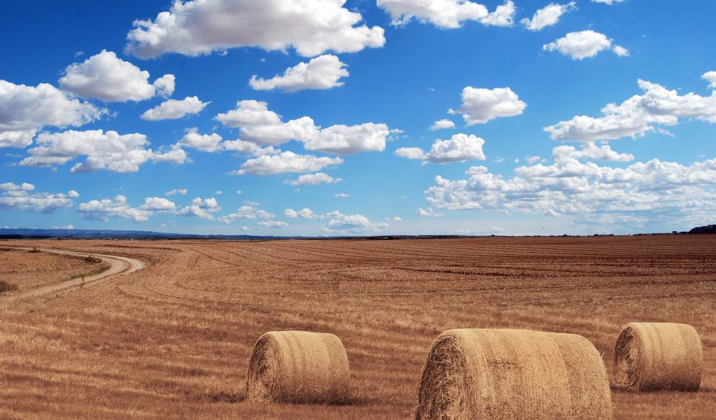 Accaparemment des terres agricoles (crédit : Pixabay)