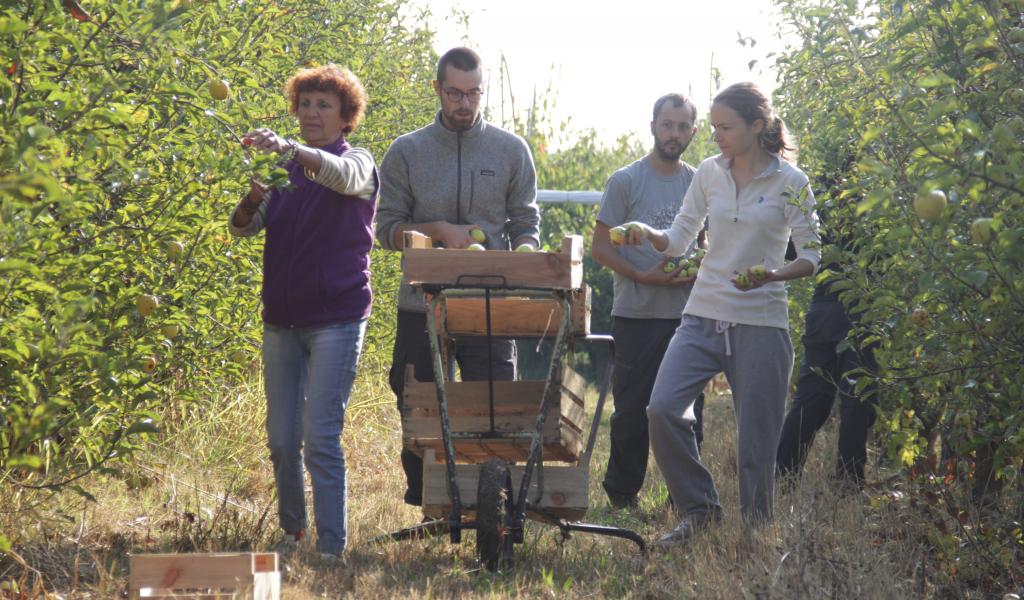 Depuis mars 2017, plus de 300 personnes ont participé aux activités de Partage d'amour : récolte, transformation ou vente entre adhérents. © E. Besatti