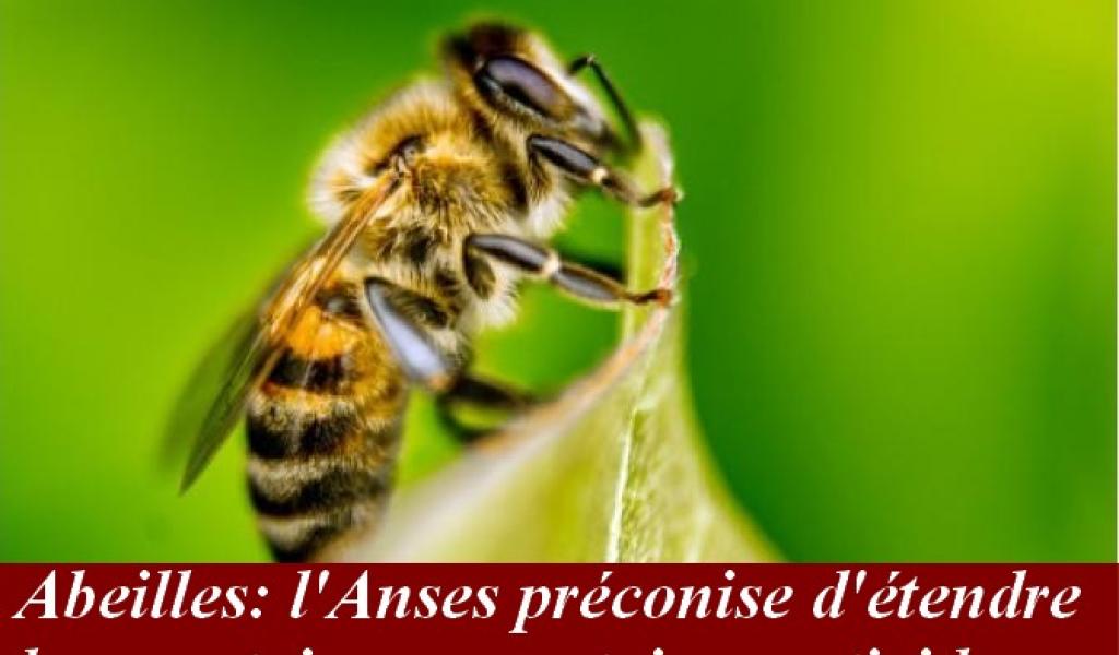 Le Syndicat Apiculteurs Midi-Pyrénées offre une ruche à Mme Batho, M. Chanteguet et M. Bapt !