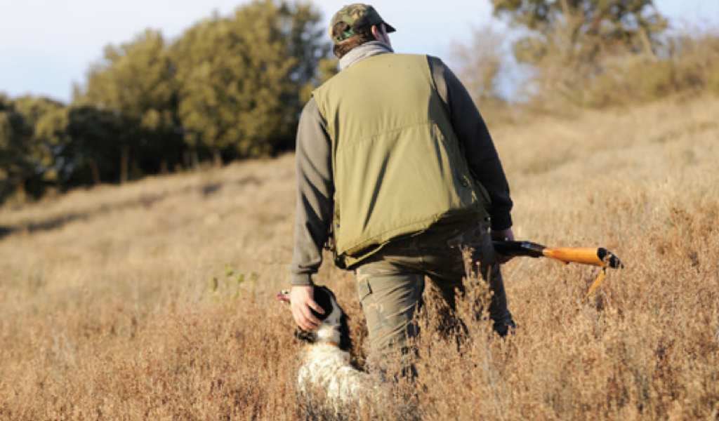 La régulation et la chasse