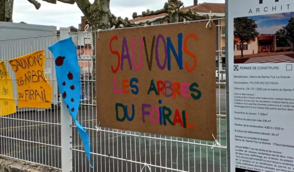 Sauvons les platanes