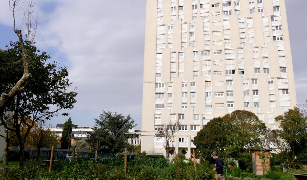  Vue du jardin du Polygone ©DelphineTayac