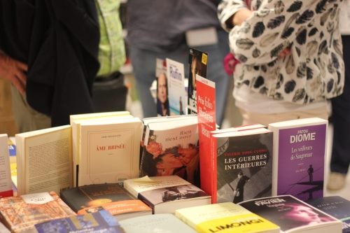 Photo : Elodie Horn. La librairie possède un fonds de 5800 livres choisi par les soins d'Audrey. Elle essaie au maximum d'être la plus large possible dans ses choix.